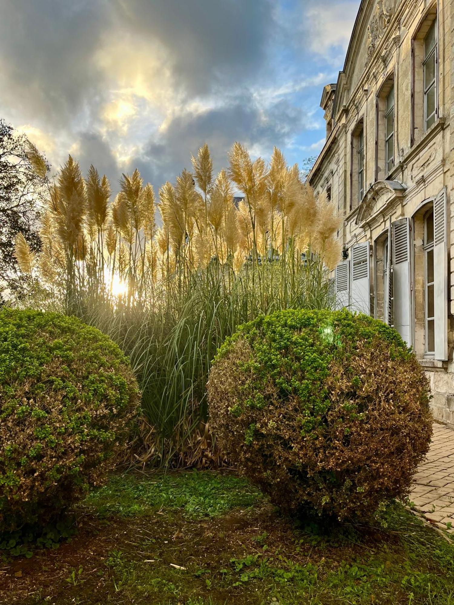 Chateau De Contay Guesthouse - 1753 Экстерьер фото